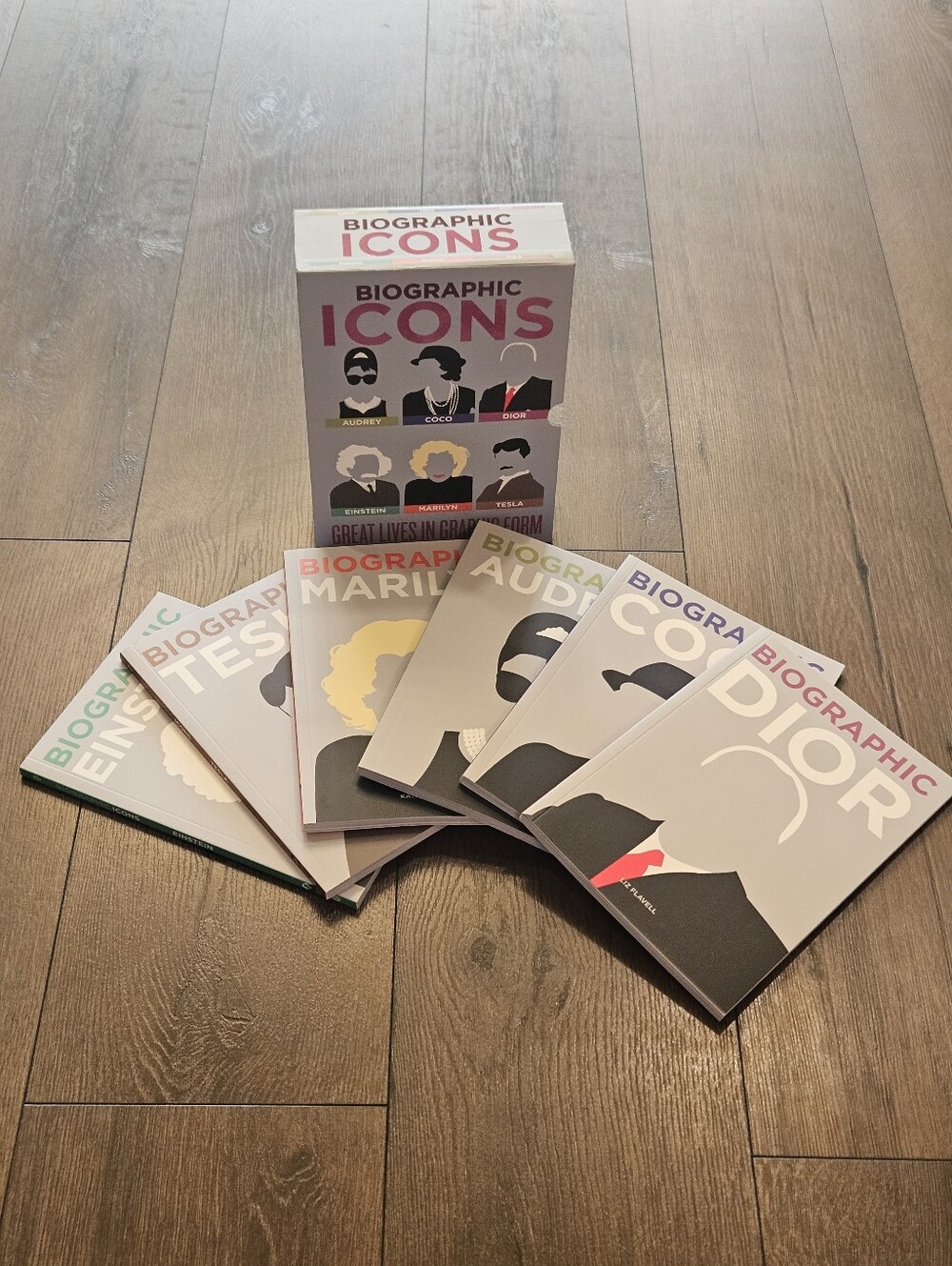 Biographic Icons 6 Book Box Set Coco Chanel Dior Audrey Marilyn Tesla Einstein
